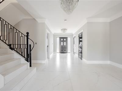 Picture 8